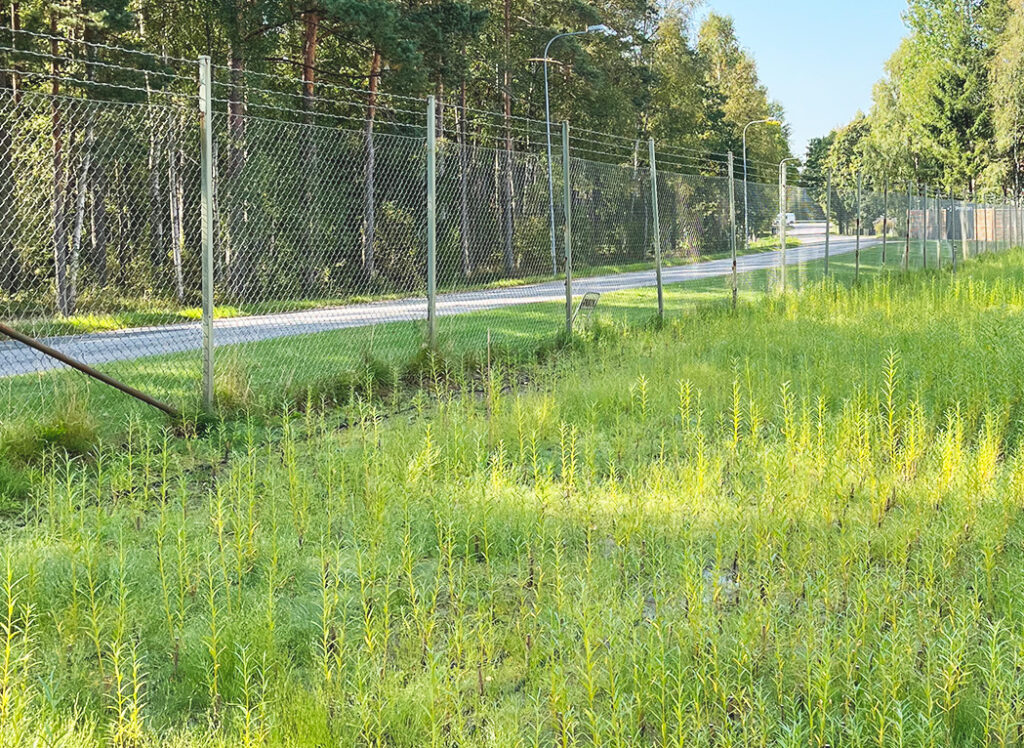 Salix i Hillerstorp Proton Finishing